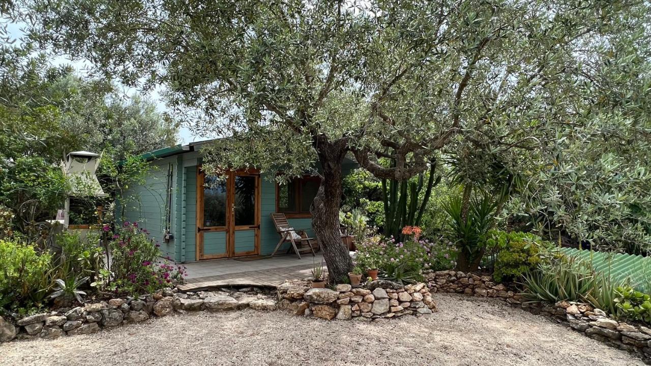 Finca Florecer Tivenys Exterior photo