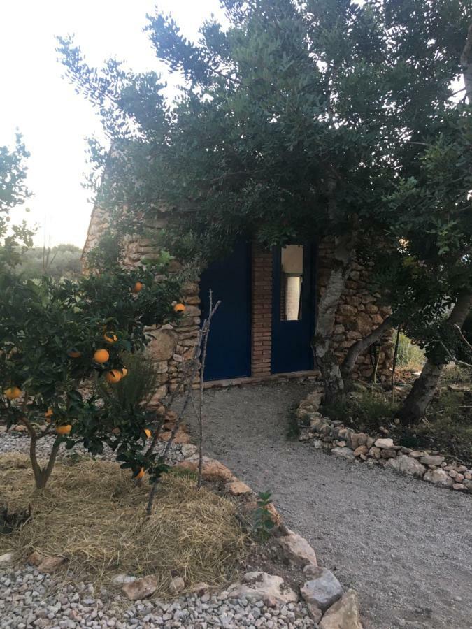 Finca Florecer Tivenys Exterior photo